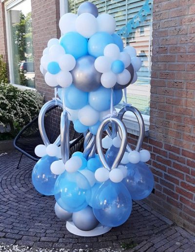 Tuttenballonnenboom jongen